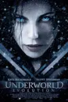 Underworld: Evolution (2006) Dual Audio 480p | 720p | 1080p
