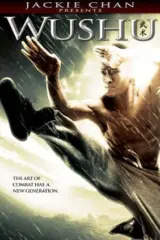 Jackie Chan Presents: Wushu (2008) Dual Audio {Hindi-English} 480p | 720p | 1080p