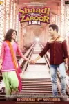 Shaadi Mein Zaroor Aana (2017) Hindi Full Movie 480p | 720p | 1080p