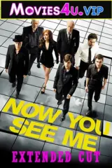 Now You See Me (2013) BluRay Dual Audio {Hindi-English} 480p | 720p | 1080p
