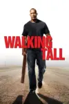 Walking Tall (2004) Dual Audio {Hindi-English} 480p | 720p | 1080p
