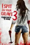I Spit on Your Grave 3: Vengeance Is Mine (2015) BluRay Dual Audio {Hindi-English} 480p | 720p | 1080p