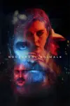 Nocturnal Animals (2016) BluRay Dual Audio {Hindi-English} 480p | 720p | 1080p