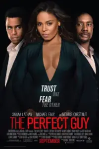 The Perfect Guy (2015) Dual Audio {Hindi-English} 480p | 720p | 1080p