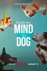 Inside The Mind Of A Dog – Netflix Original (2024) WEB-DL Dual Audio {Hindi-English} 480p | 720p | 1080p