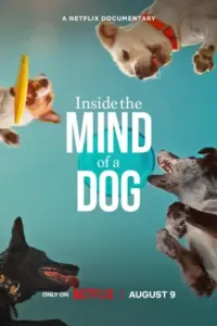 Inside The Mind Of A Dog – Netflix Original (2024) WEB-DL Dual Audio {Hindi-English} 480p | 720p | 1080p Inside The Mind Of A Dog – Netflix Original (2024) WEB-DL Dual Audio {Hindi-English} 480p | 720p | 1080p